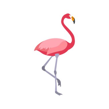Düz flamingo beyaz arkaplanda izole edildi