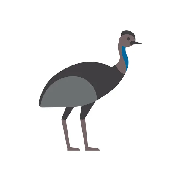 Emu Illustrazione Isolata Sfondo Bianco — Vettoriale Stock