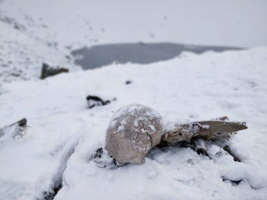 Doğal olarak, Hint Himalayaları 'ndaki yüksek irtifa Roopkund gölünün yanında bulunan kar altında bulunan antik insan iskeletleri..