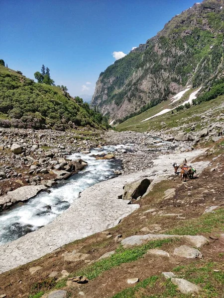 岩や氷河を流れる風光明媚な水の流れと壮大なインドのヒマラヤ山の谷 1つのキャンプ場から別のキャンプ場へのハイカーのトレッキングやキャンプ用品を運ぶポニーポーター — ストック写真