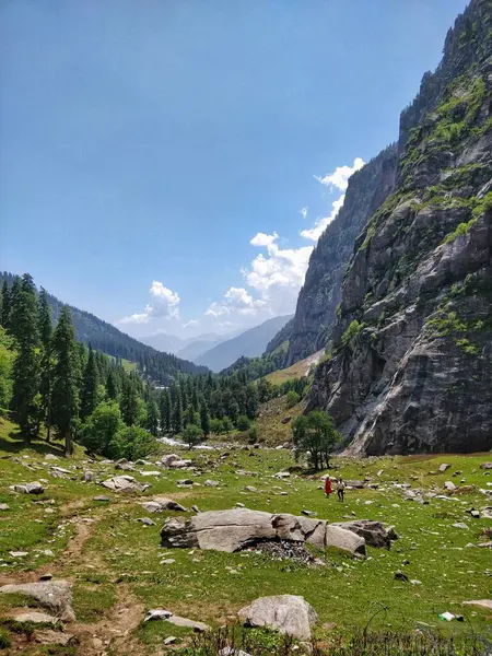 Manali Índia Junho 2019 Casal Indiano Caminhando Juntos Uma Épica — Fotografia de Stock