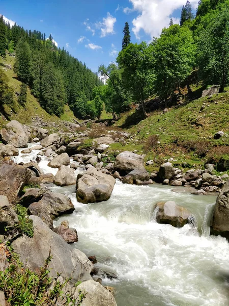 Een Prachtige Indische Himalaya Mountain Vallei Met Schilderachtige Waterstroom Stroomt — Stockfoto