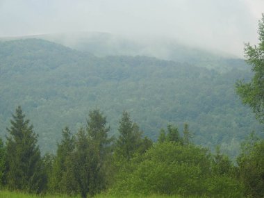 Polonyalı Karpatlar Bieszczady Ulusal Parkı