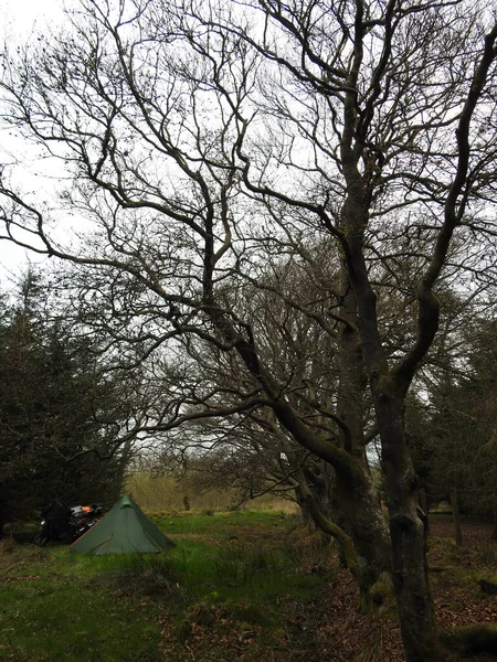 Bushcraft Durmiendo Naturaleza Escocia — Foto de Stock