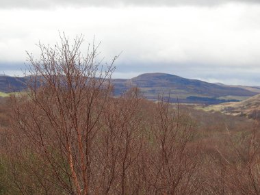 İskoçya dağları, ağaçlar, manzara, Loch Ness