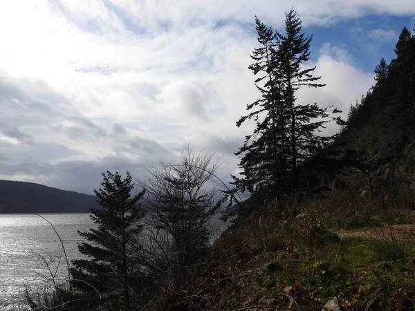 Scozia Montagne Alberi Vista Loch Ness — Foto Stock