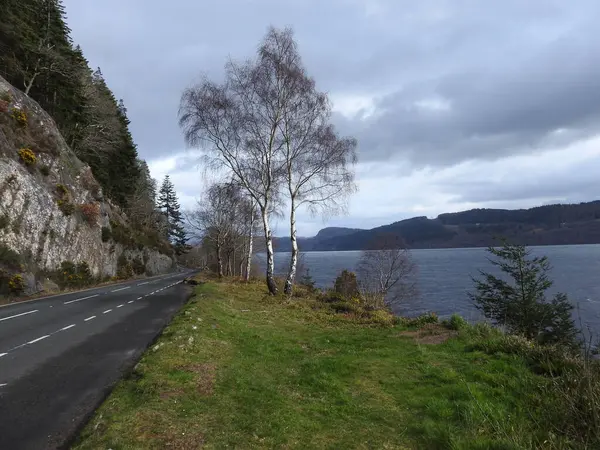 Skoçya Dağları Ağaçlar Manzara Loch Ness — Stok fotoğraf