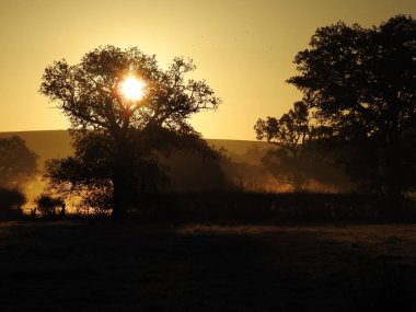 Swindon Park 'ta sisli bir gündoğumu sonbaharı