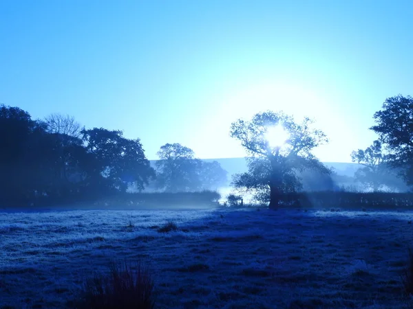 Dimmig Soluppgång Höst Swindon Park — Stockfoto