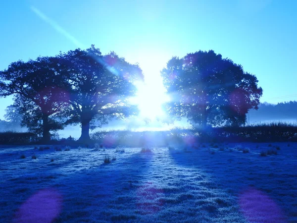 Swindon Park Sisli Bir Gündoğumu Sonbaharı — Stok fotoğraf