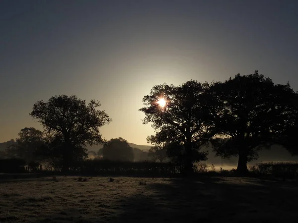 Dimmig Soluppgång Höst Swindon Park — Stockfoto