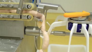 Sosis fabrikası üzerinde çalışıyor