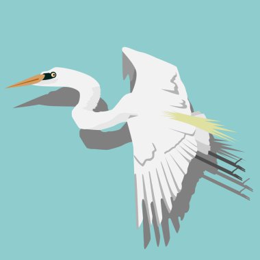 Turkuaz arka planda güzel balıkçıllar uçar. karton biçimi