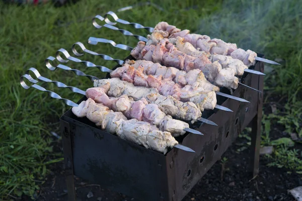 Vers gemarineerd vlees op spiesen. Barbecue voor een picknick. — Stockfoto