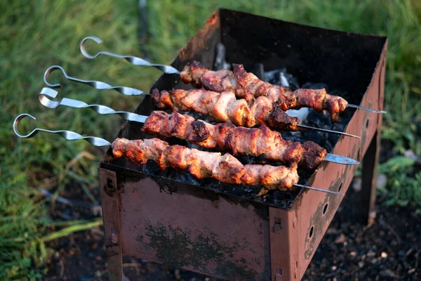 Gebakken shish kebab op spiesjes op de grill. — Stockfoto
