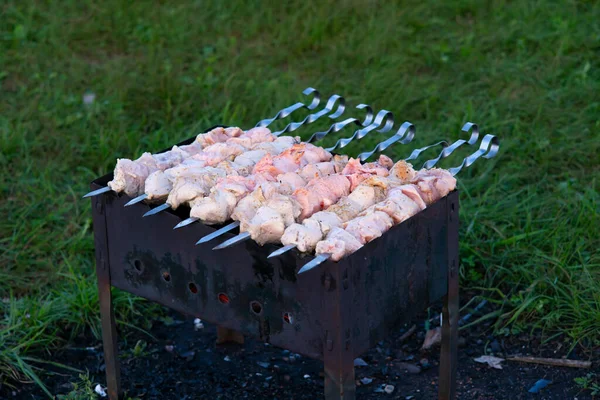 Vers gemarineerd vlees op spiesen. Barbecue voor een picknick. — Stockfoto