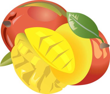 Bir dal, bir yaprak ve bir parça kesilmiş bir mango..