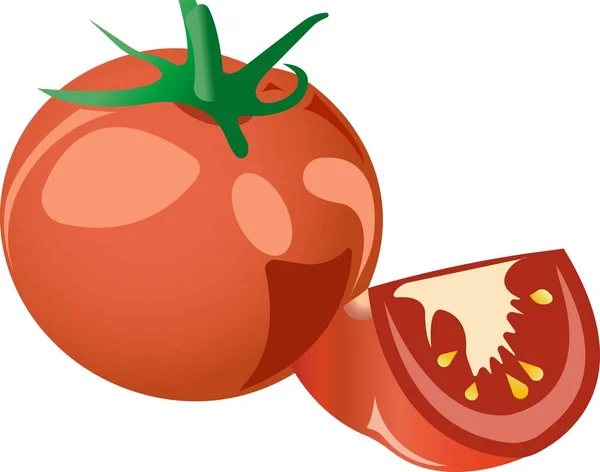 Tomate rouge. Illustration vectorielle isolée sur fond blanc. — Image vectorielle