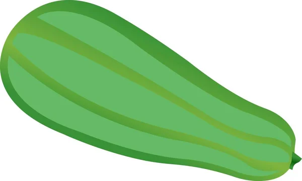 Ilustração em abobrinha verde isolada sobre fundo branco. — Vetor de Stock