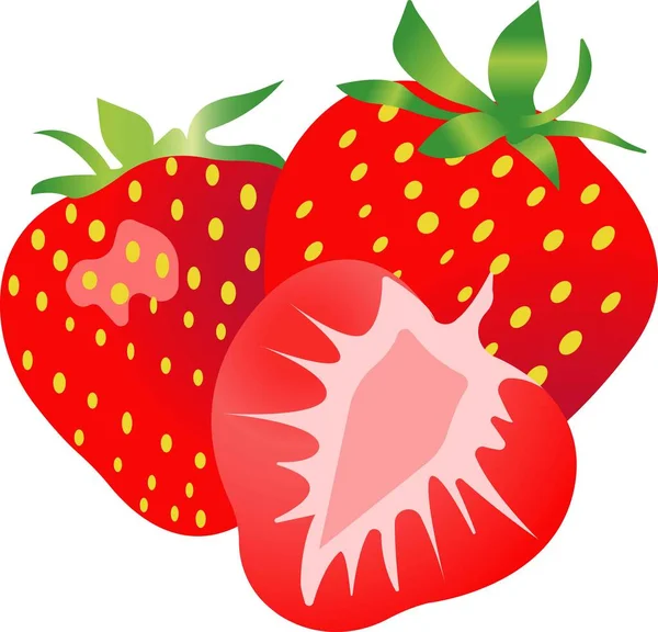 Red strawberries. Vector illustration isolated on white background. — Stock Vector