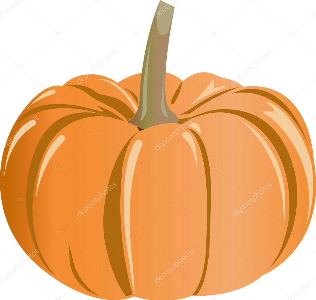 Ripe orange pumpkin with a brown twig.