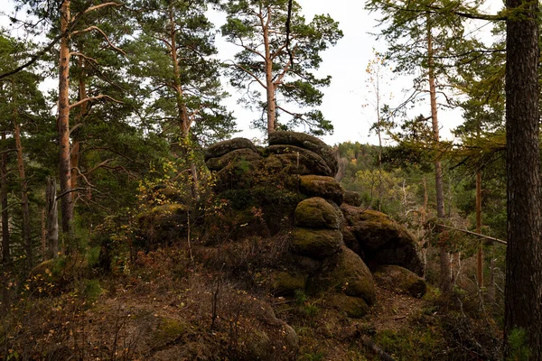 Una roca de piedra marrón en el bosque. — Foto de Stock