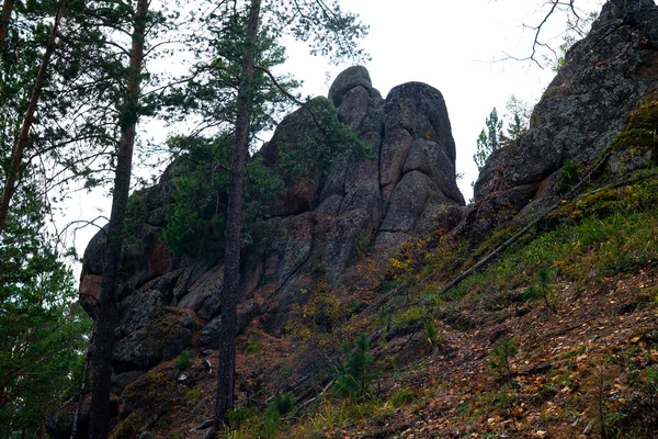 Anmutiger Fels aus braunem Stein auf einem Hügel im Wald. — Stockfoto