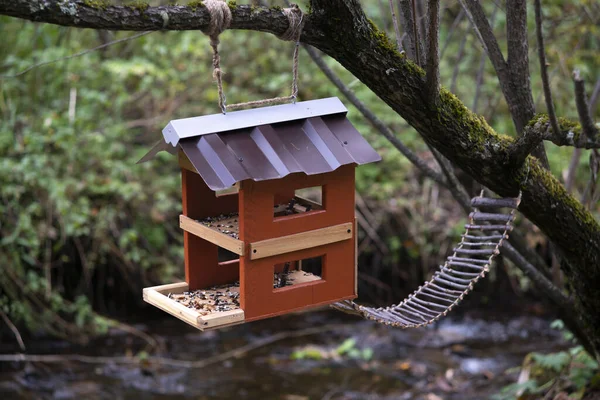 Alimentatore per animali e uccelli su un albero nella foresta. — Foto Stock