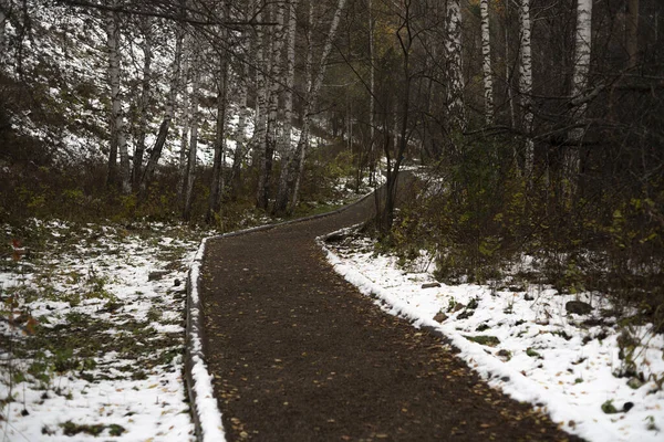 A estrada no parque nacional no início do inverno. — Fotografia de Stock