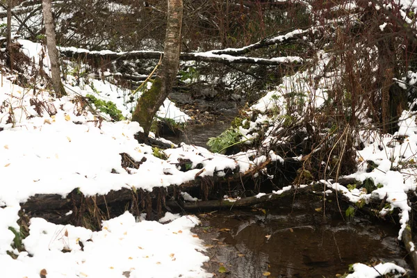 Um riacho no parque nacional de inverno. — Fotografia de Stock