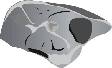 Sulu etli jambon. Yemeğin renkli görüntüsü.