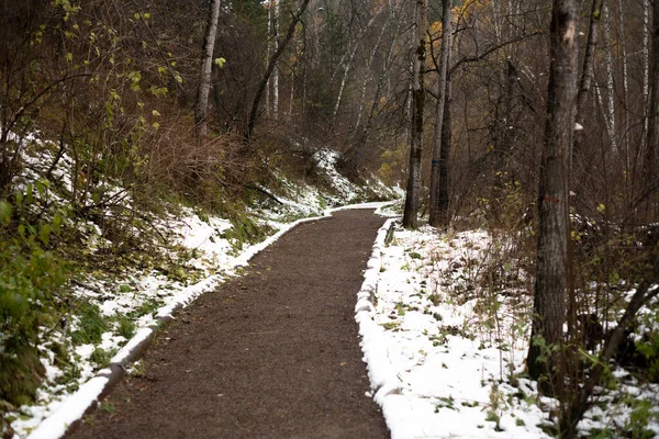 La route dans le parc national au début de l'hiver. — Photo