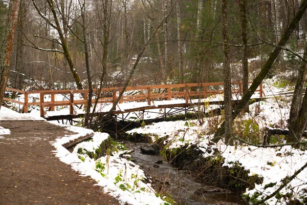 Um riacho perto do caminho no parque nacional de inverno. — Fotografia de Stock