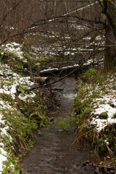 Um riacho perto do caminho no parque nacional de inverno. — Fotografia de Stock