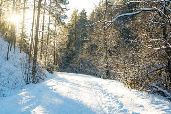 La strada è coperta di neve, illuminata dalla luce del sole. — Foto Stock