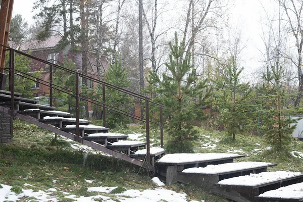 Long escalier en bois dans le parc national. — Photo