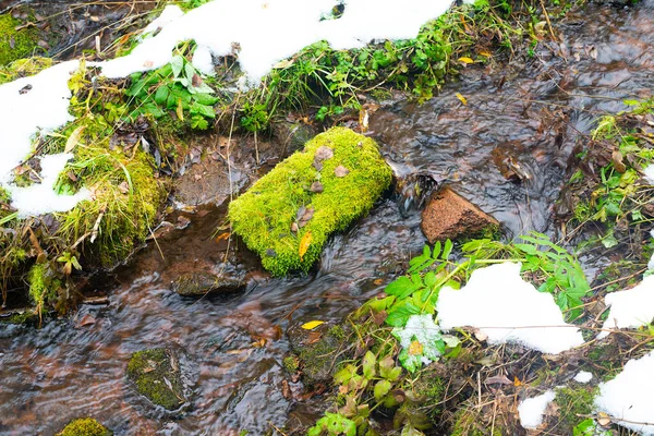 Pequeño río en el bosque de otoño con la primera nieve. — Foto de Stock