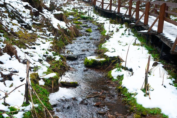 Pequeno rio na floresta de outono com a primeira neve. — Fotografia de Stock