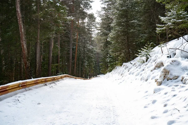 La route au milieu de la forêt couverte de neige en hiver. — Photo