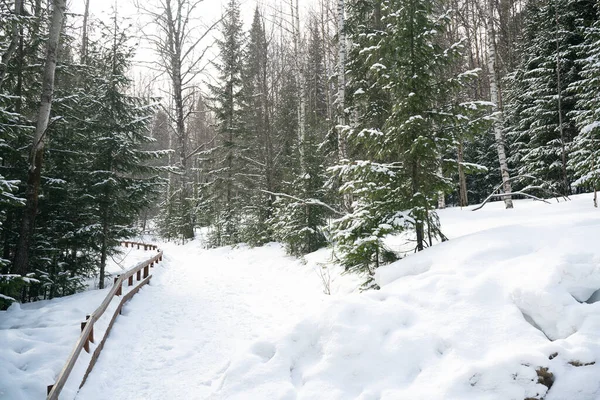 Un escalier au milieu de la forêt couvert de neige en hiver. — Photo