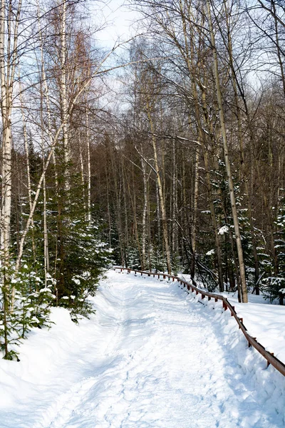 Schody w środku lasu pokryte śniegiem w zimie. — Zdjęcie stockowe