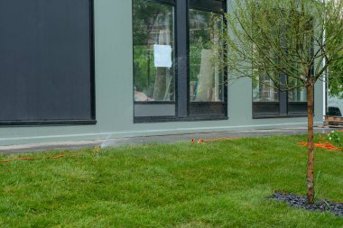 Turuncu hortumla otomatik çim sulama sistemi.