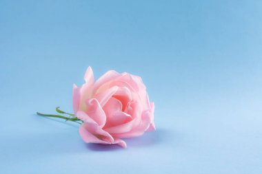 Mavi arka planda, meleksi göksel ve narin serçe parmak.