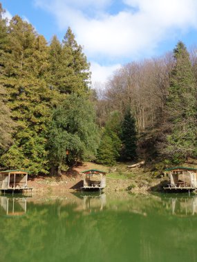 Ormanın içinde göl kenarında Balık tutma kulübeleri