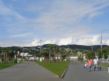 Sochi Olympic Park, Yeşil çimenler ve palmiye ağaçları, patika, Adler, Rusya Federasyonu, 1 Haziran 2016 insanlar
