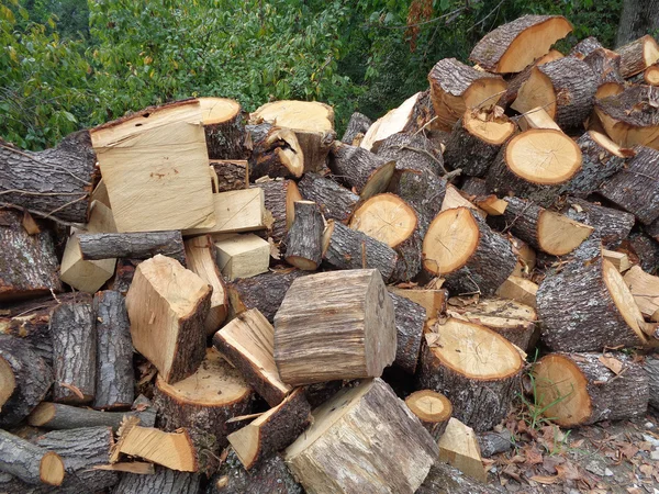 Bois de chauffage haché empilé dans une pile — Photo