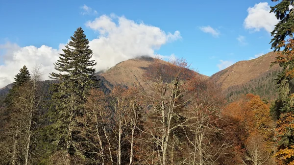 Bellissimo autunno sulle montagne del Caucaso settentrionale — Foto Stock