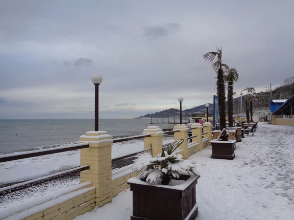 Schnee-Winter an der Schwarzmeerküste — Stockfoto