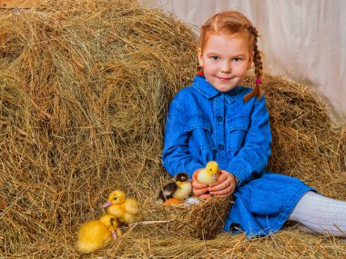 Küçük kızıl saçlı kız samanlı ördek yavrusu
