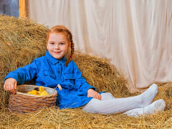 Küçük kızıl saçlı kız samanlı ördek yavrusu